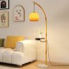 Modern LED Floor Lamp in the United States